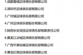 新野新野的要账公司在催收过程中的策略和技巧有哪些？